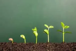 Individual Growth